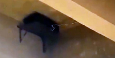 MSB 6 Adet EYT Etkisiz Hale Getirildi