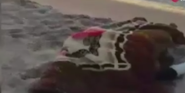 Libya'daki Faciadan Yeni Görüntüler