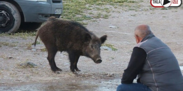  Adını 'Fadime' Koydular! Elleriyle Beslediler 
