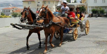 Adada Atlı Fayton Yerine Bu Araçlar Olacak
