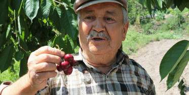 Fiyatı El Yakıyor! Dalda 2, Pazarda 15 Lira