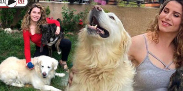 Gamze Topuz, Köpeklerine Çivili Kemik Atıldığını Görünce Şikayetçi Oldu