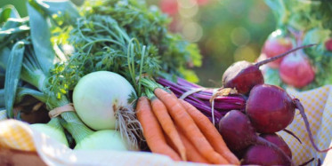 D Vitamini Bulunan Besinler