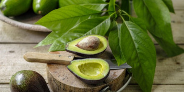 Kalp Dostu Avokadonun Sağlığımıza Etkileri