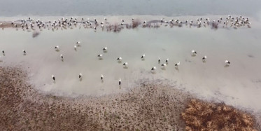 Göç Yolunda Pelitözü Molası