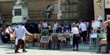 Görüntüler Bilindik Yerden! Kızgın At Ortalığı Birbirine Kattı