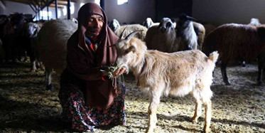 Gümüşhane’de Kadınlar Bileziklerini Bozup Kooperatifle Köylerini Kalkındırıyor