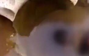 Hindistan'da Feci Ölüm