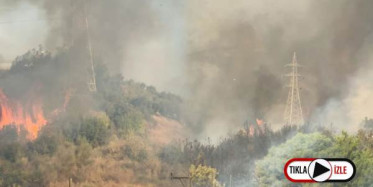 Hatay'daki Orman Yangını Yerleşim Alanlarına Sıçradı!