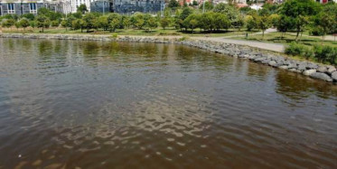 Haliç'teki Görüntü Korkutuyor