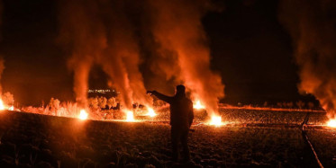 Hatay'da Çiftçiler Mahsullerini Dondan Korumak İçin Ateşle Nöbet Tuttular