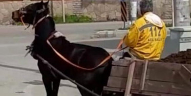 Hatay'da Yükü Çekemeyen Ata Şiddet