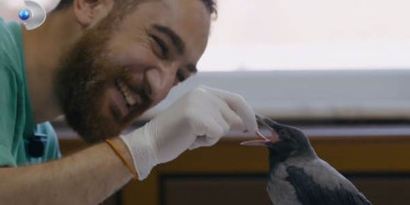 Hayat Tamircisi Yeni Bölümü Olan 13. Bölümünde Neler Yaşanacak?