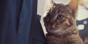 Hayat Tamircisi Bugün Başlıyor