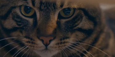 Hayat Tamircisi Yeni Bölümü Olan 9. Bölümünde Neler Yaşanacak?