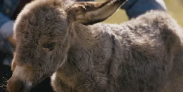 Hayat Tamircisi Yeni Bölümü Olan 11. Bölümünde Neler Yaşanacak?