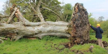 Çok Şaşıracağınız Bu Fotoğrafların Hepsi Gerçek!