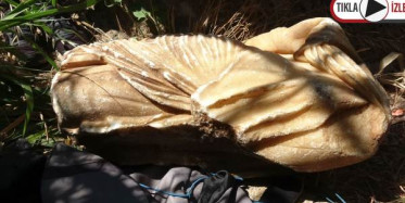 Falezlerde Bulunan Çantadan, Roma Dönemine Ait Heykel Çıktı 