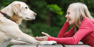 İnsan Gibi Konuşan Hayvanlar