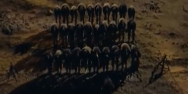 Bu Sahneyi İzleyip de Duygulanmayan Ya Haindir Ya Duygusuz