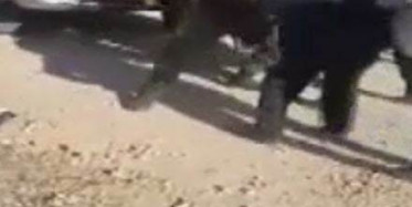 İsrail Askeri Filistinli Genci Ağır Yaraladı