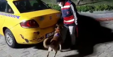 İstanbul'da Bir Takside 60 Kilo Bonzai Bulundu