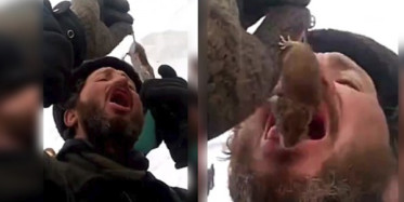 Fareyi Canlı Canlı Yedi!