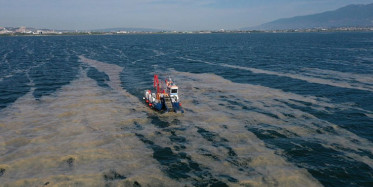 İzmit Körfezi’ndeki Deniz Salyası Temizleniyor