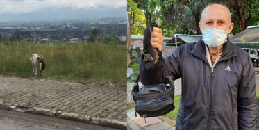 İzmit’te Akılalmaz Olay! Çantayı Alıp Kaçan Köpeği Vatandaşlar Kovaladı