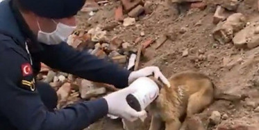 Jandarma Küçük Dostlarımızı Unutmadı!