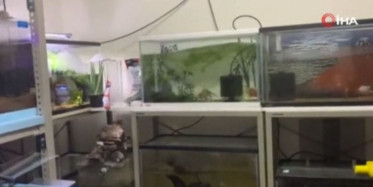 Japonya'da 7.2'lik Deprem Anı Kamerada