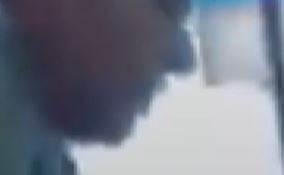 Karaca'yı Yaşama Döndürme Çabası