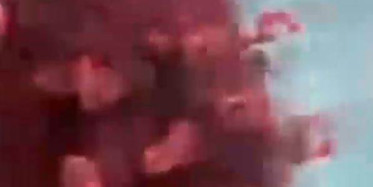  Koronanın ilacını bulan Türk bilim insanı Salgının Biteceği Tarihi Açıkladı