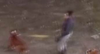 Köpeklere Eziyet Kameraya Yansıdı