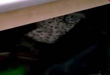 Kahvehane Baskını Sırasında Dolaptan Çıktı