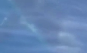 Dev Köpekbalığı Balıkçılara Saldırdı