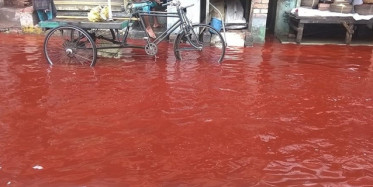 Kameralara Yansıyan 10 İlginç Olay