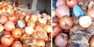 Çürük Meyvelerden Meyve Suyu Yapıldığı İddia Edildi!