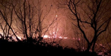 Karadeniz'de ki Yangınlarda Son Durum!