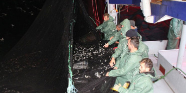 Karadeniz'de Hamsi Avı Tekrar Başladı