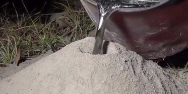 Karınca yuvasına alüminyum döken kişinin videosu sosyal medyada milyonlarca izlendi