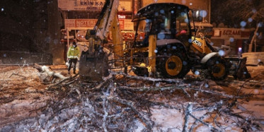 Karla Kaplanan Ağaç Aracın Üzerine Düşüyor