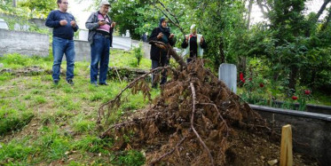 Kastamonu’da Ceset Yiyen Ayı Köylülerin Kabusu Oldu!