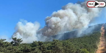 Kayışdağı'nda Korkutan Orman Yangını 