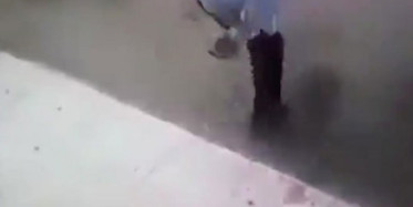 Meksika'da Bir Kedi Dehşet Saçtı!