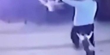 Kedi-Köpek Kavgasında Pantolonunu Kurtaramadı!