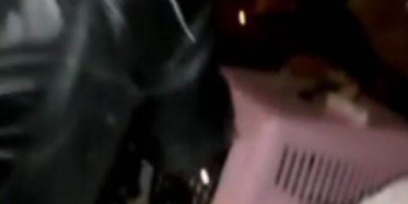 Şişli'de Kedilere Eziyet!