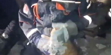 İzmir Depreminde Kedi Enkazdan Kurtarıldı