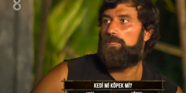 Survivor Yarışmacıları Kedi mi Yoksa Köpek mi Seviyor