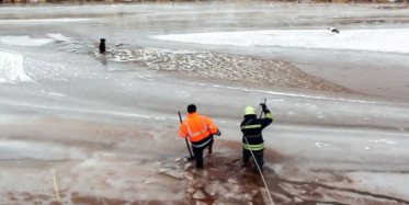 Donmak Üzere Olan Köpek Son Anda Kurtarıldı
